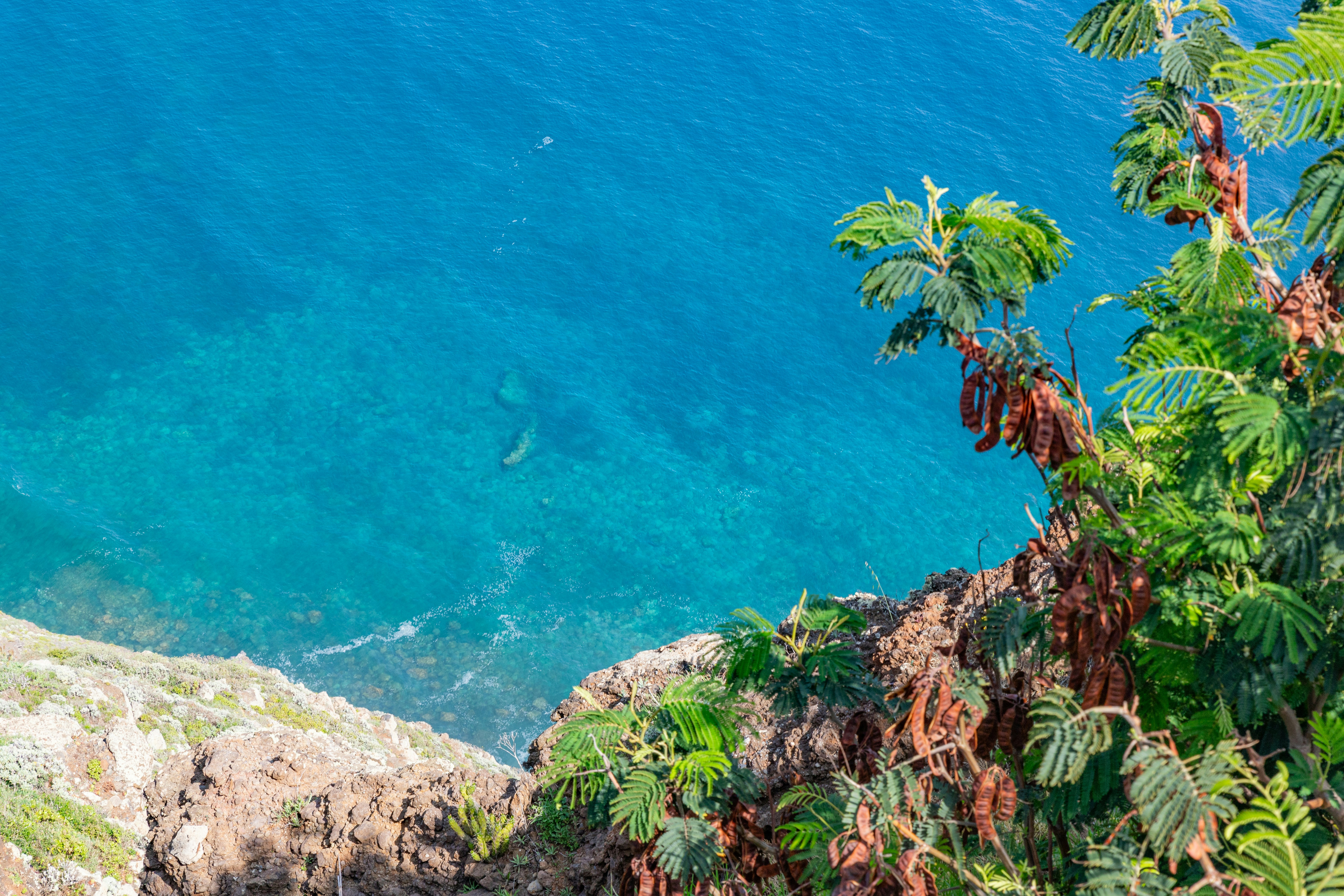 a body of water surrounded by trees and rocks