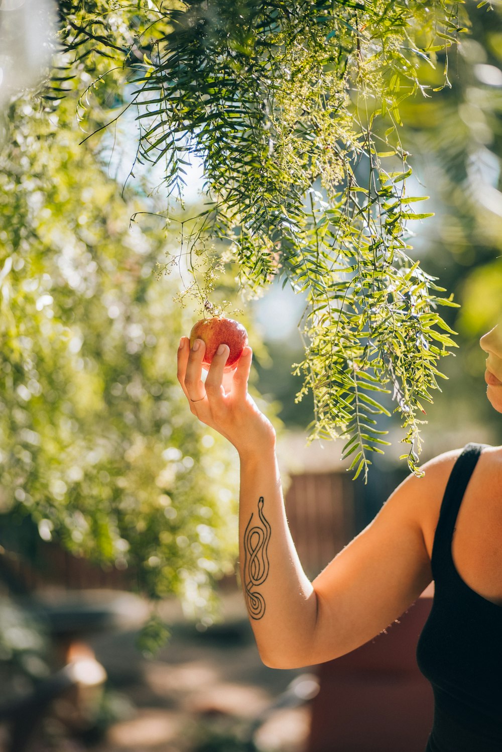 a woman holding an apple under a tree