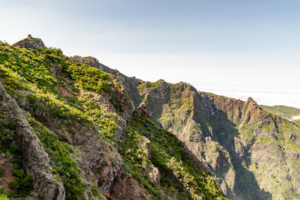 a view of a mountain side with green plants growing on it