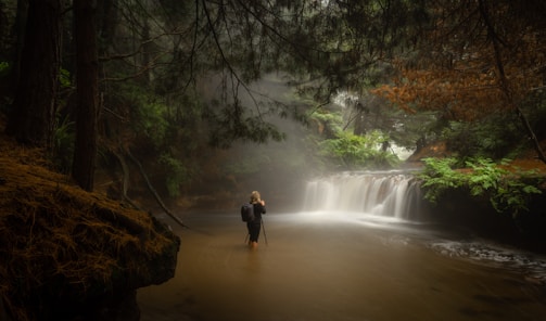 A serene forest scene with a person standing in a shallow river holding a walking stick. Mist hovers in the air, and dense trees surround the area. A small waterfall cascades gently in the background, and vibrant green foliage contrasts against the darker, earthy tones.