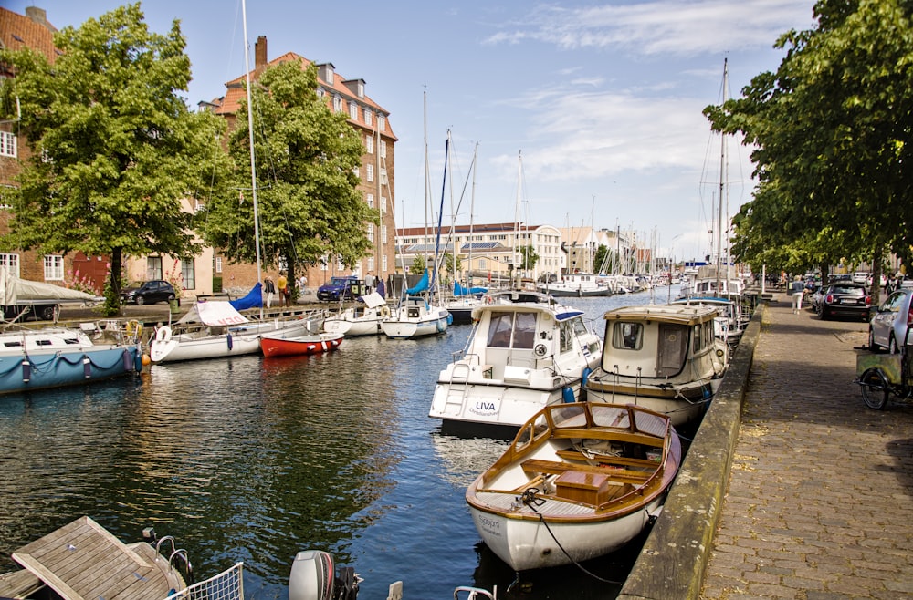 a group of boats docked in a harbor