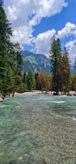 A serene river flows through a forested area with tall evergreen trees on both sides. Snow-capped mountains can be seen in the distance under a vibrant blue sky with scattered white clouds. The water in the river is clear, revealing pebbles beneath the surface.
