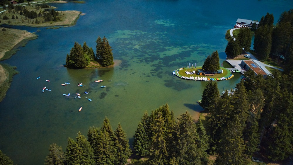 eine Luftaufnahme eines Sees, der von Bäumen umgeben ist