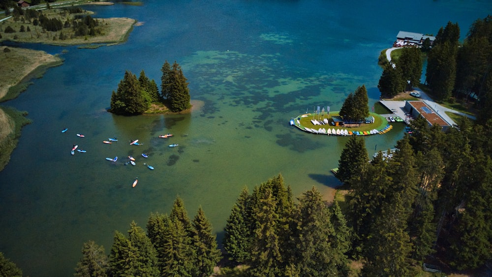 an aerial view of a lake surrounded by trees