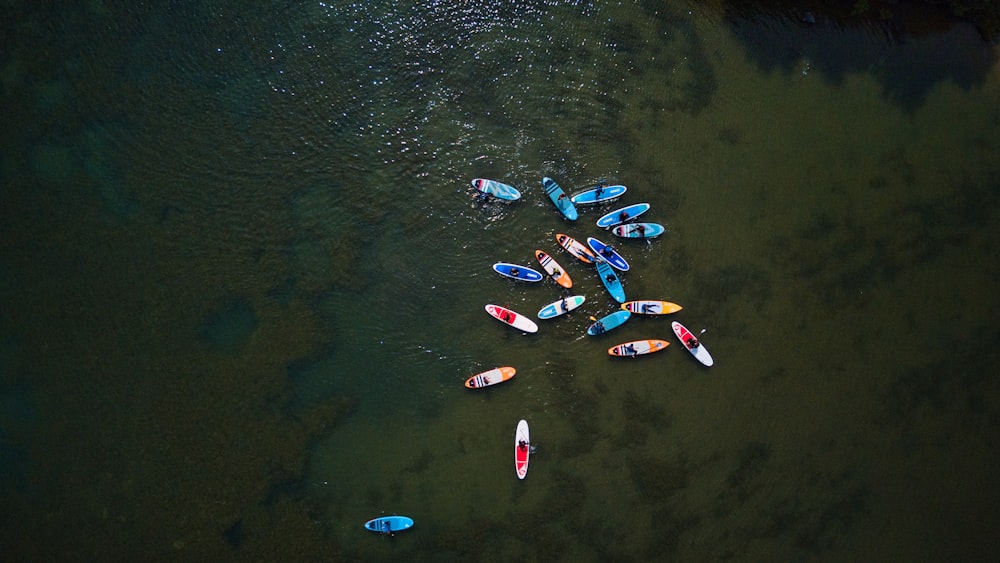 Un gruppo di kayak che galleggiano sulla cima di uno specchio d'acqua