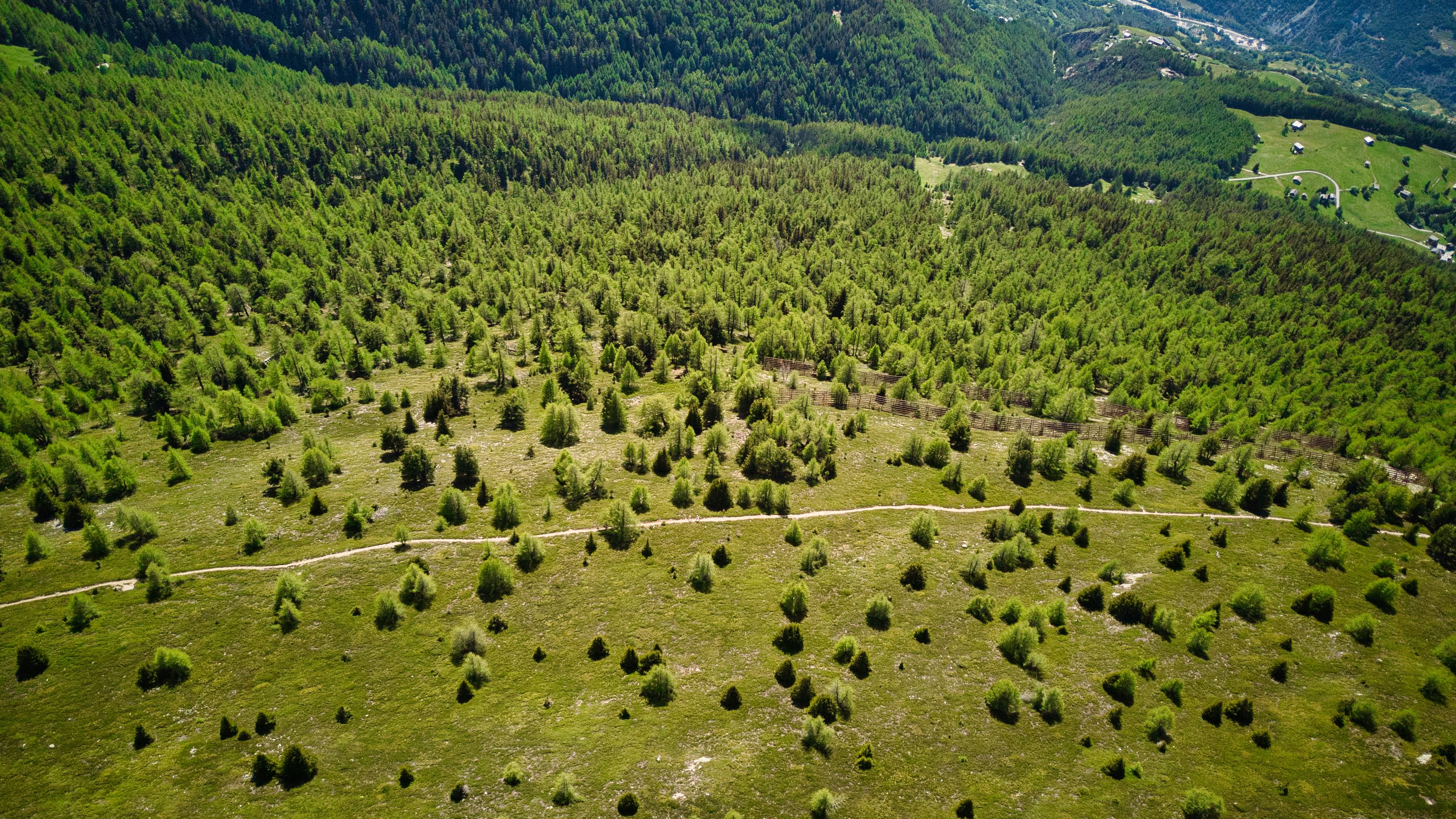 Agricultural Expansion: The Silent Habitat Killer (image credits: unsplash)