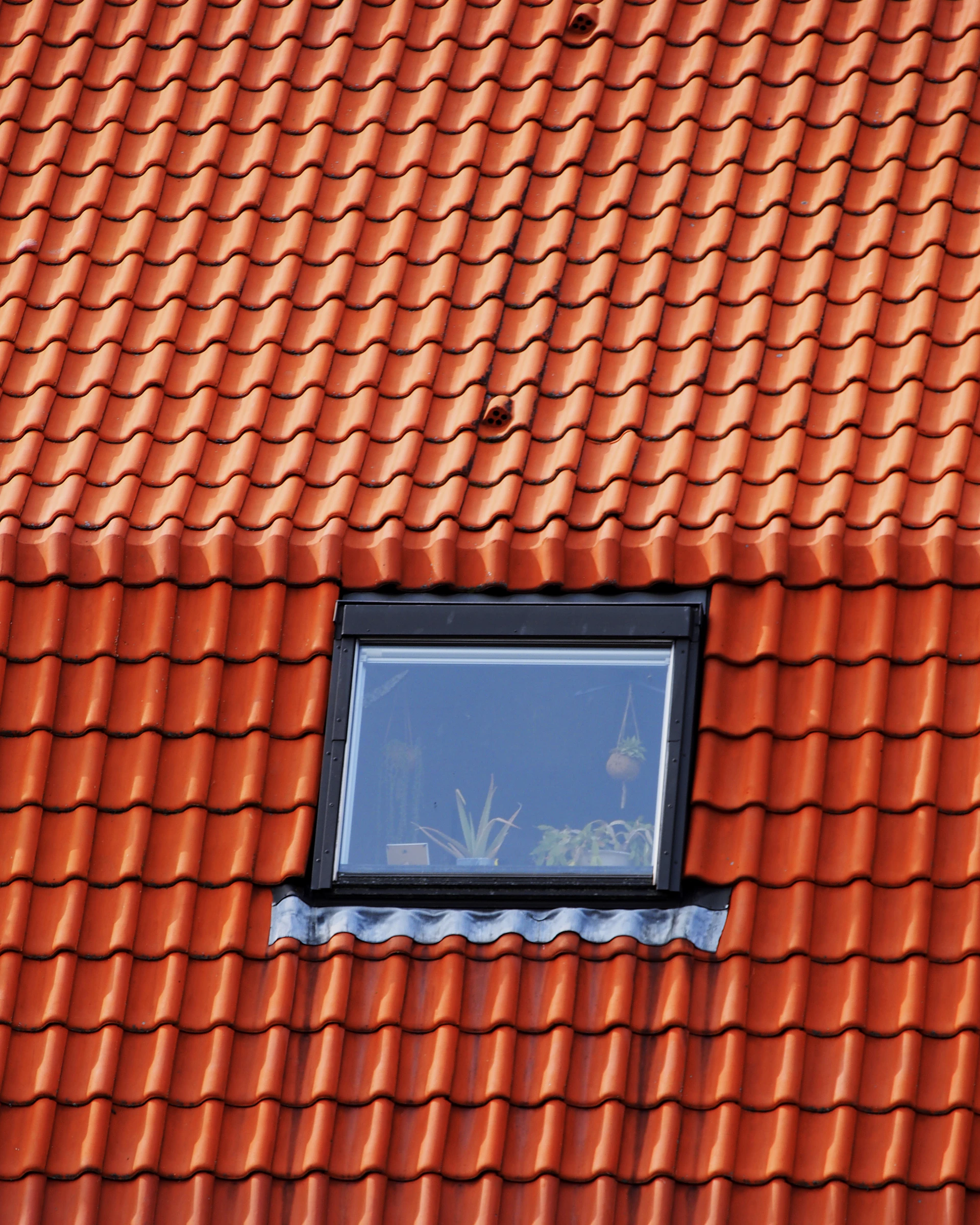 a window on the roof of a building