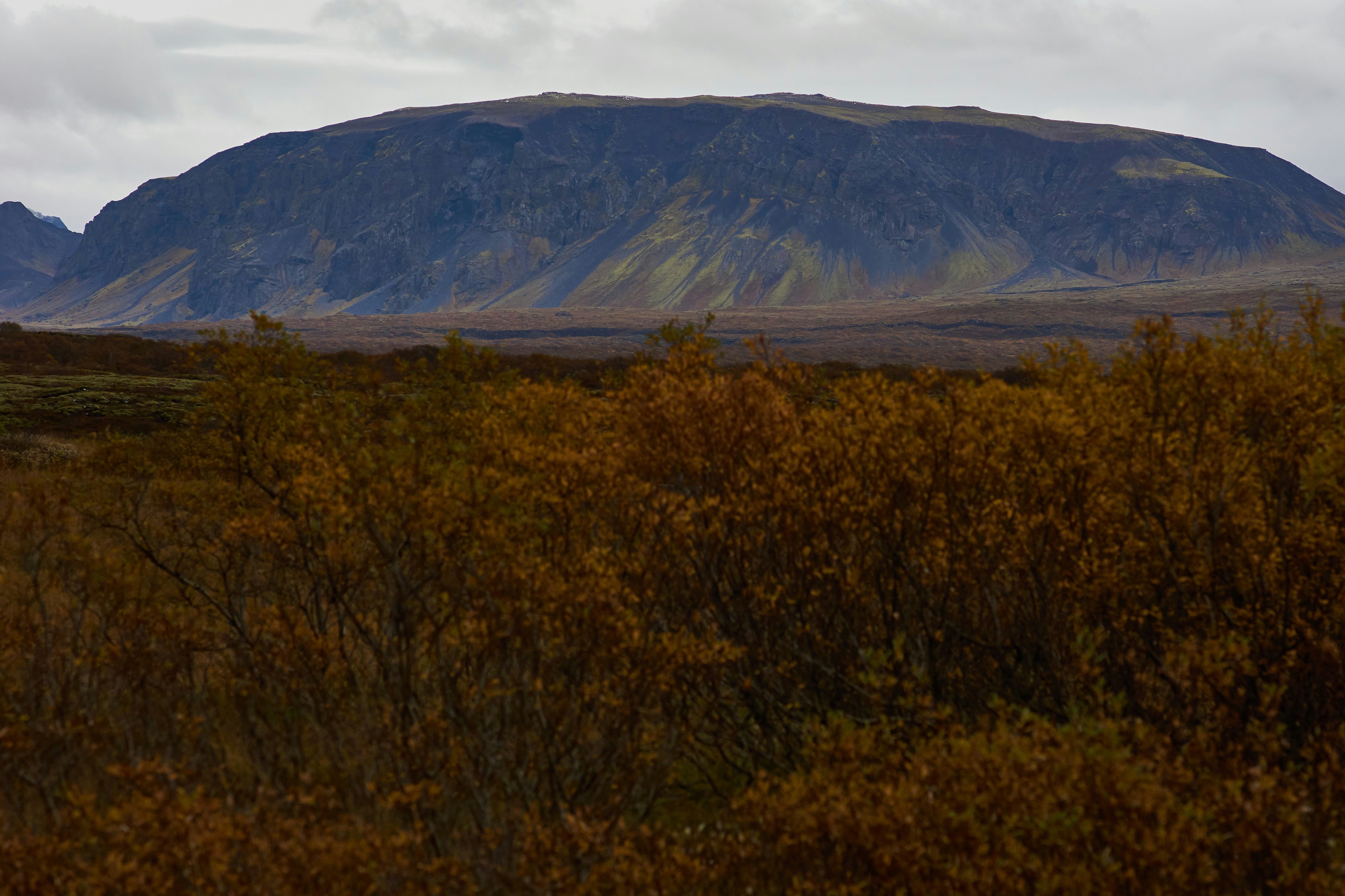 Photo by wolfgang_hasselmann