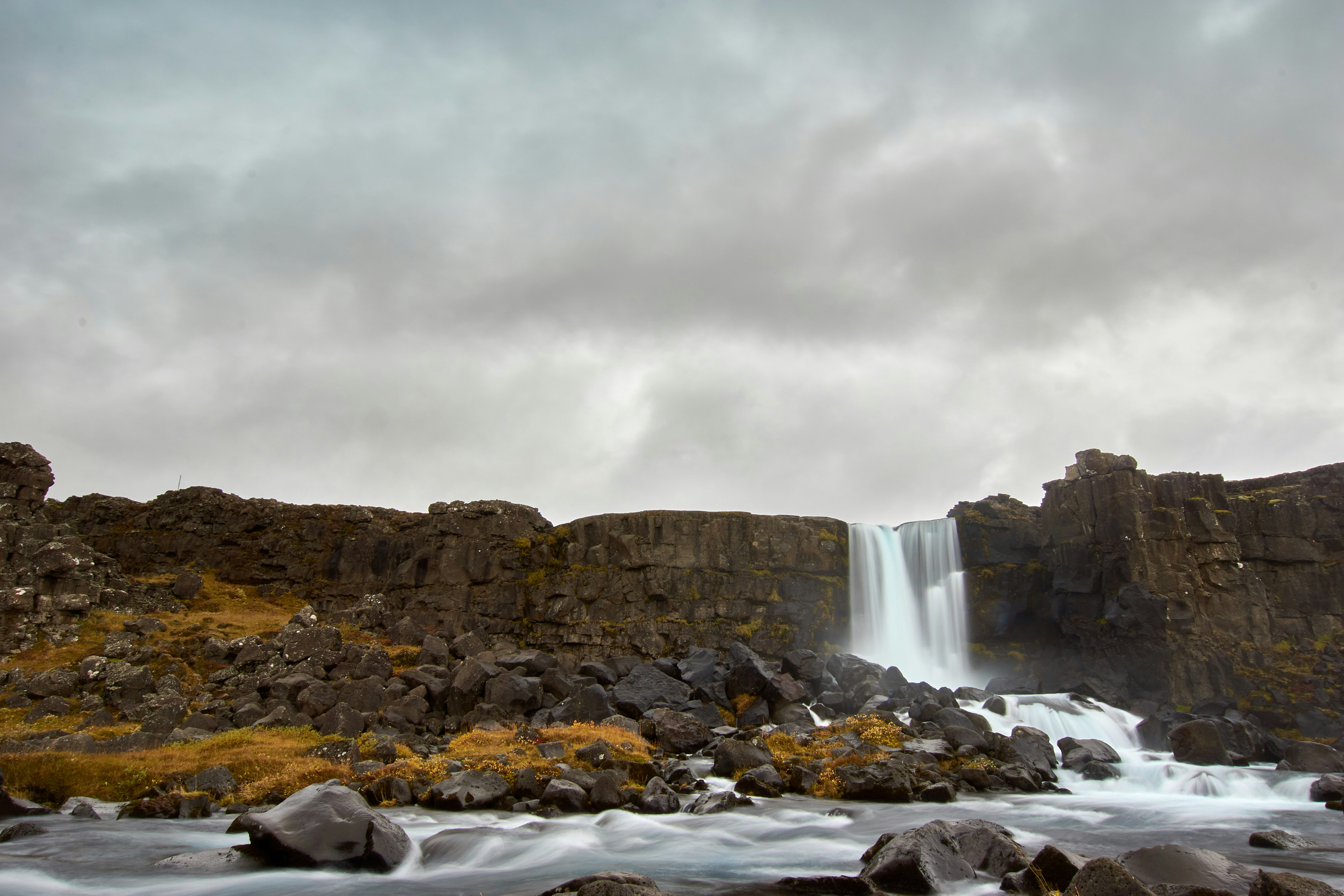 Photo by wolfgang_hasselmann