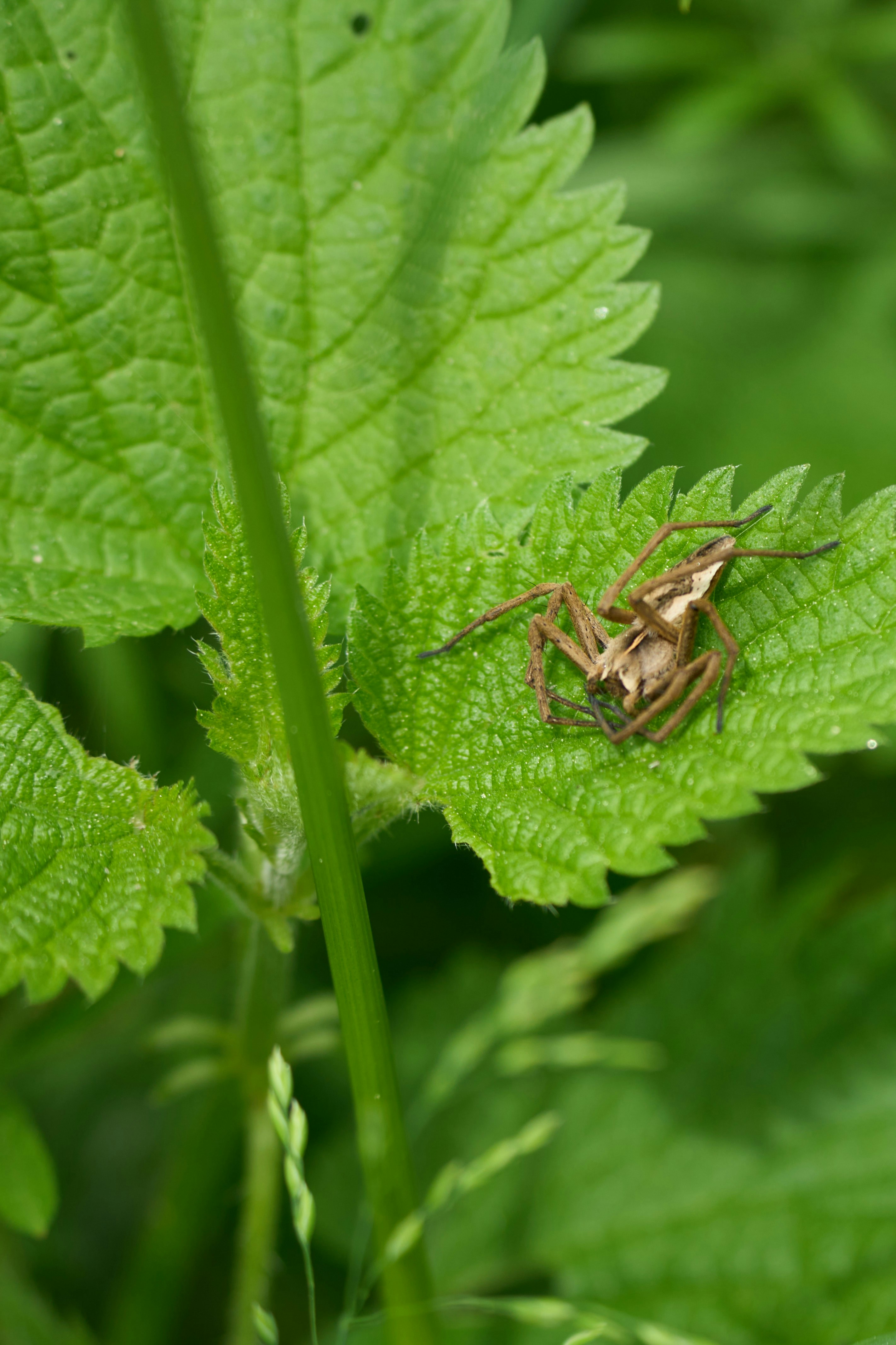 Photo by wolfgang_hasselmann