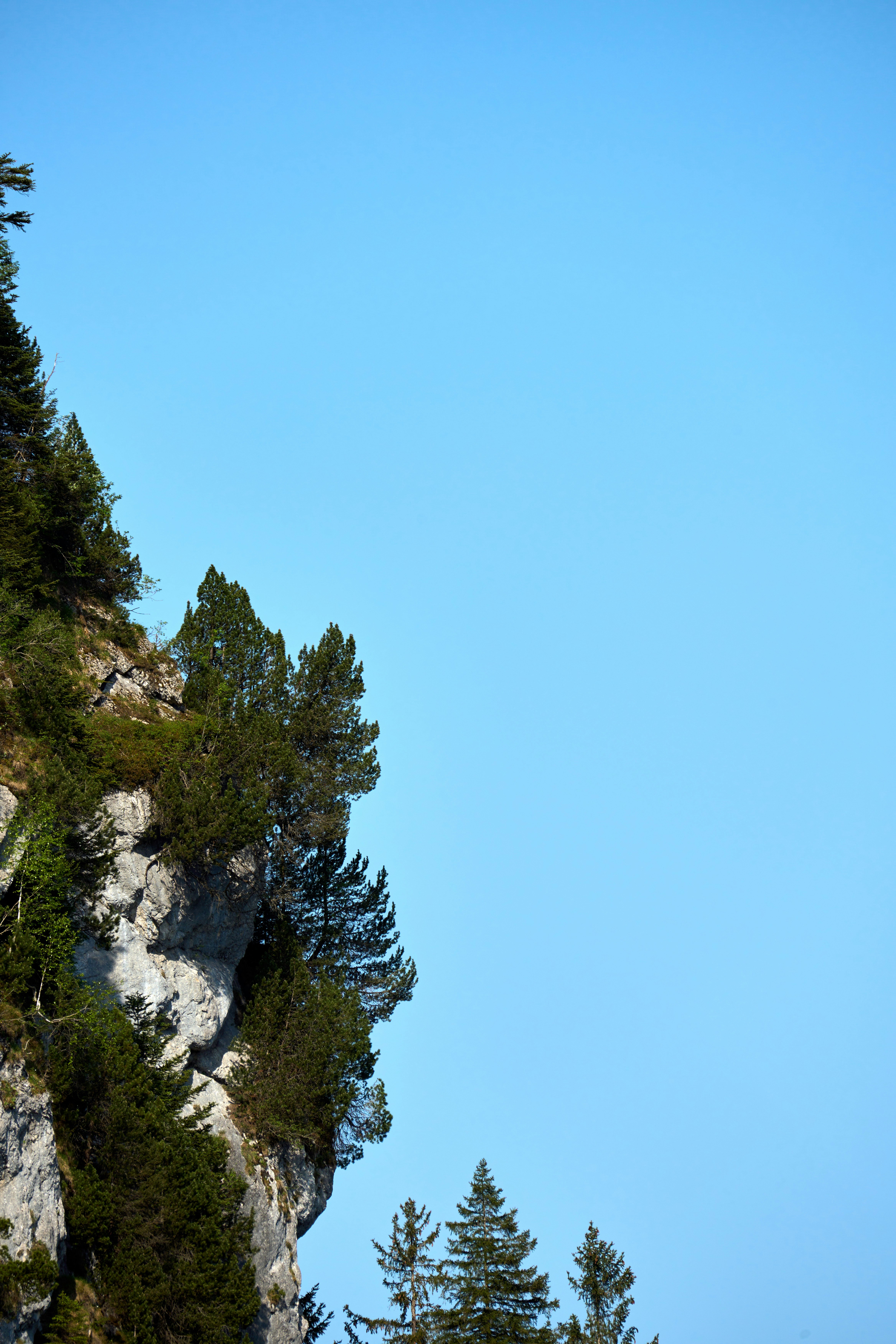 Photo by wolfgang_hasselmann