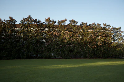 A row of well-maintained landscaping equipment lined up under a clear Texas sky.