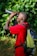 A person wearing a red shirt and a backpack is looking through binoculars. The background consists of lush green foliage, suggesting a natural outdoor setting.