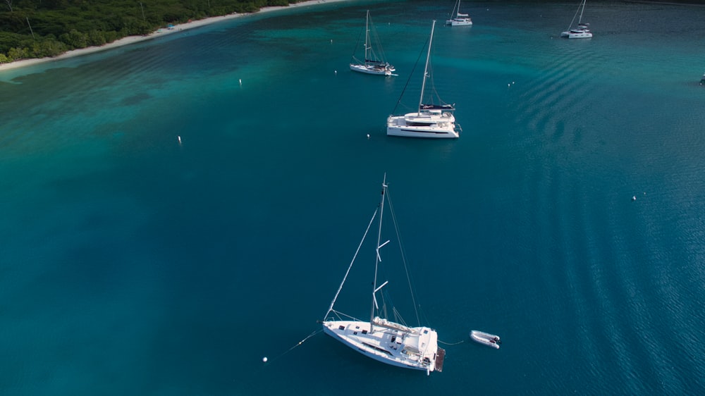 a group of boats floating on top of a body of water