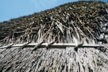 A close-up of sustainable materials used in construction.