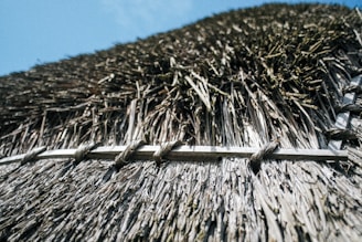 A close-up of sustainable materials used in caravan construction.