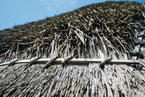 A close-up of sustainable materials used in construction.