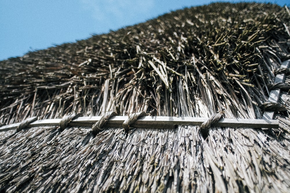 a close up view of a straw hut roof