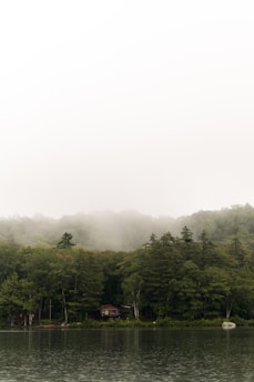 A serene lakeside cabin at dawn, surrounded by mist and tall trees.