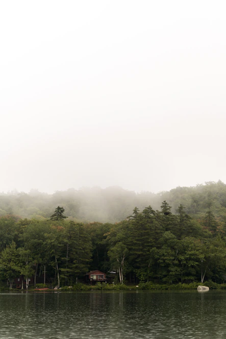 A tranquil lakeside cabin surrounded by soft morning mist and gentle greenery.