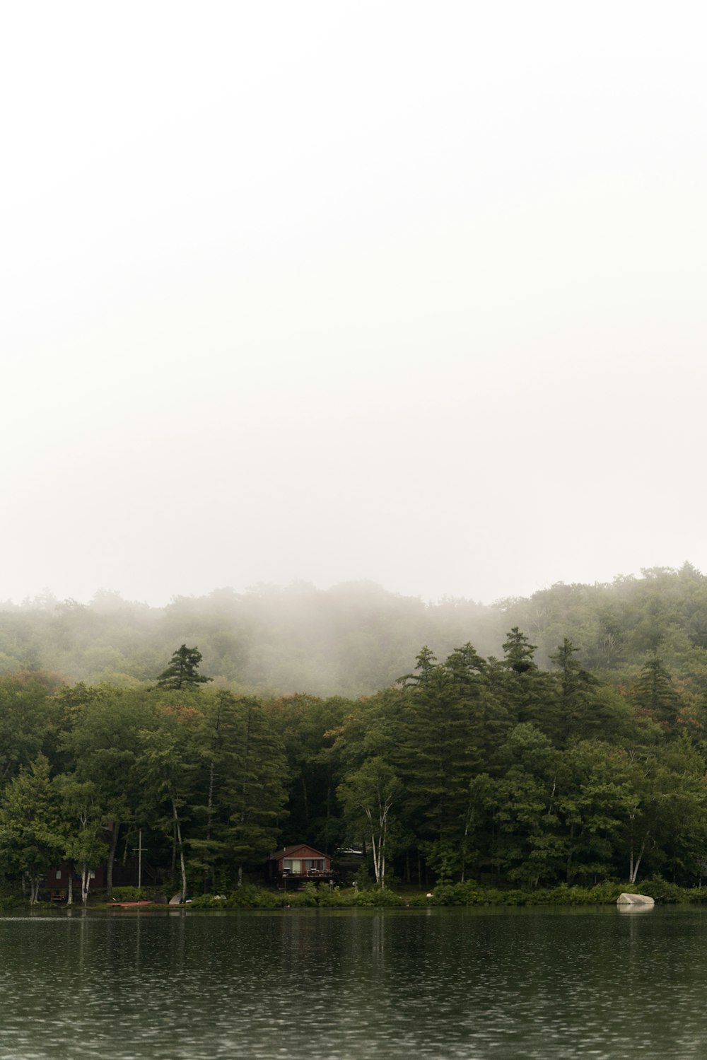 a body of water surrounded by trees and fog