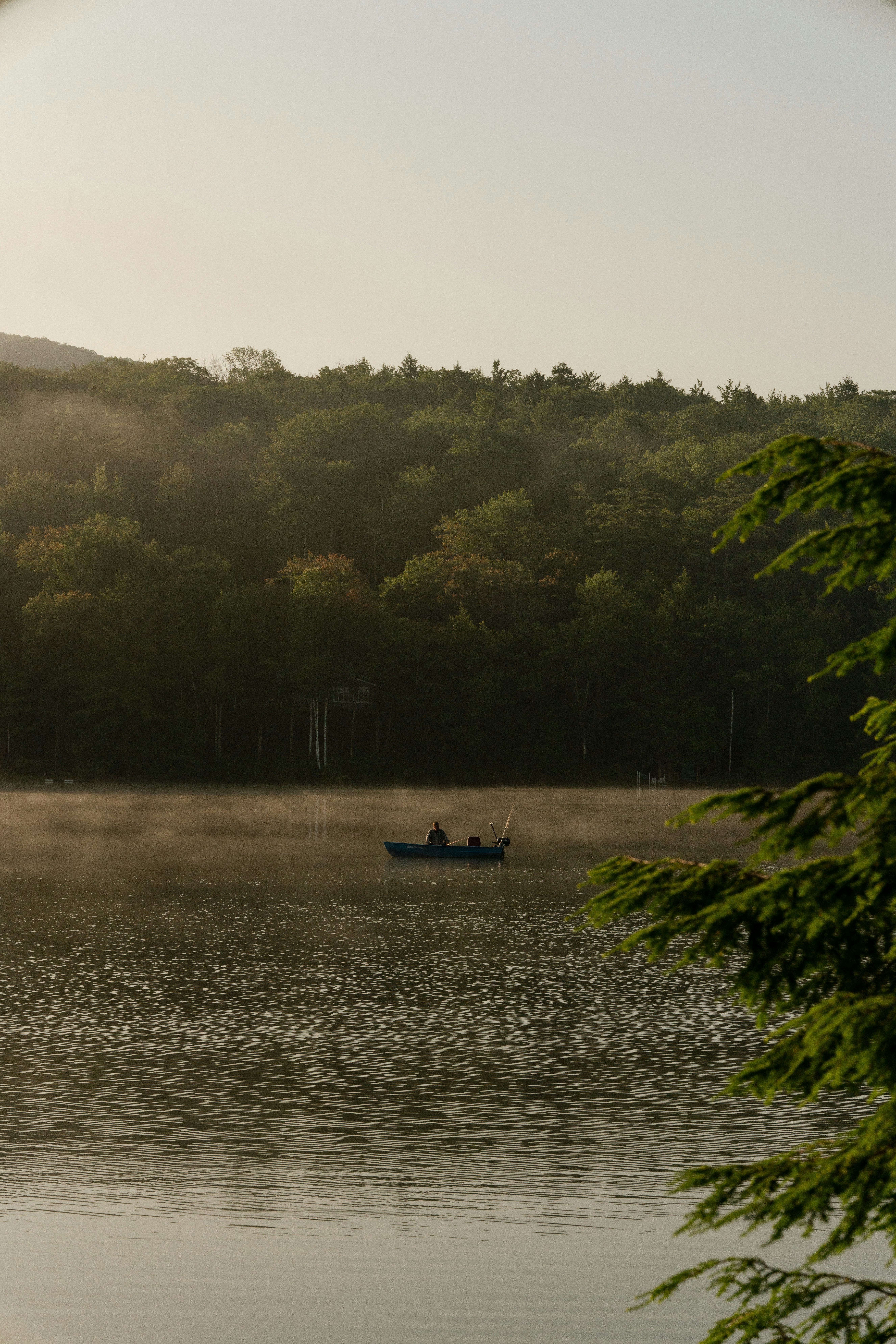 Photo by nicolegaffney