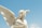 A stone sculpture of an angel with long flowing hair and large wings, set against a clear blue sky.