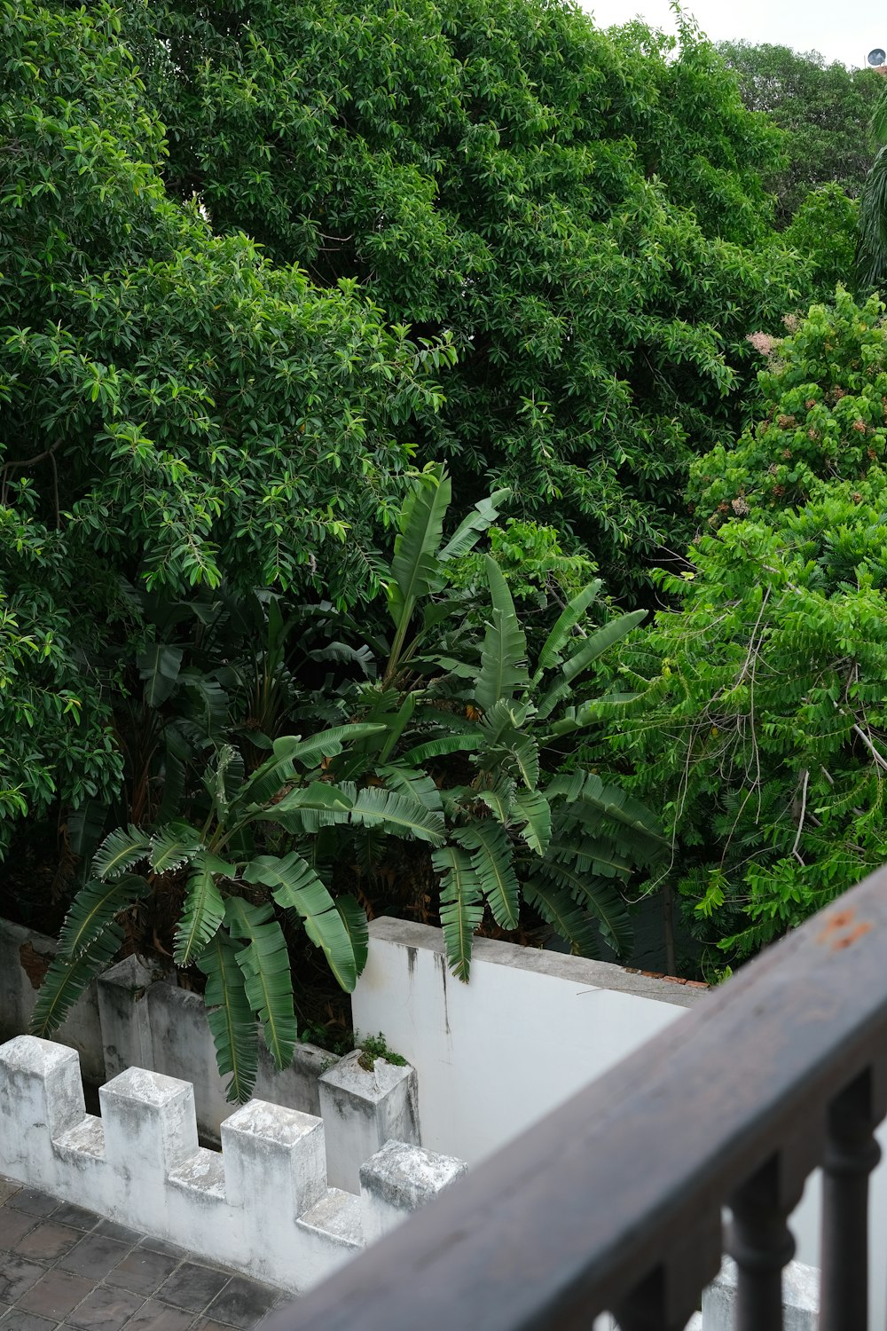 a view of a lush green forest from a balcony