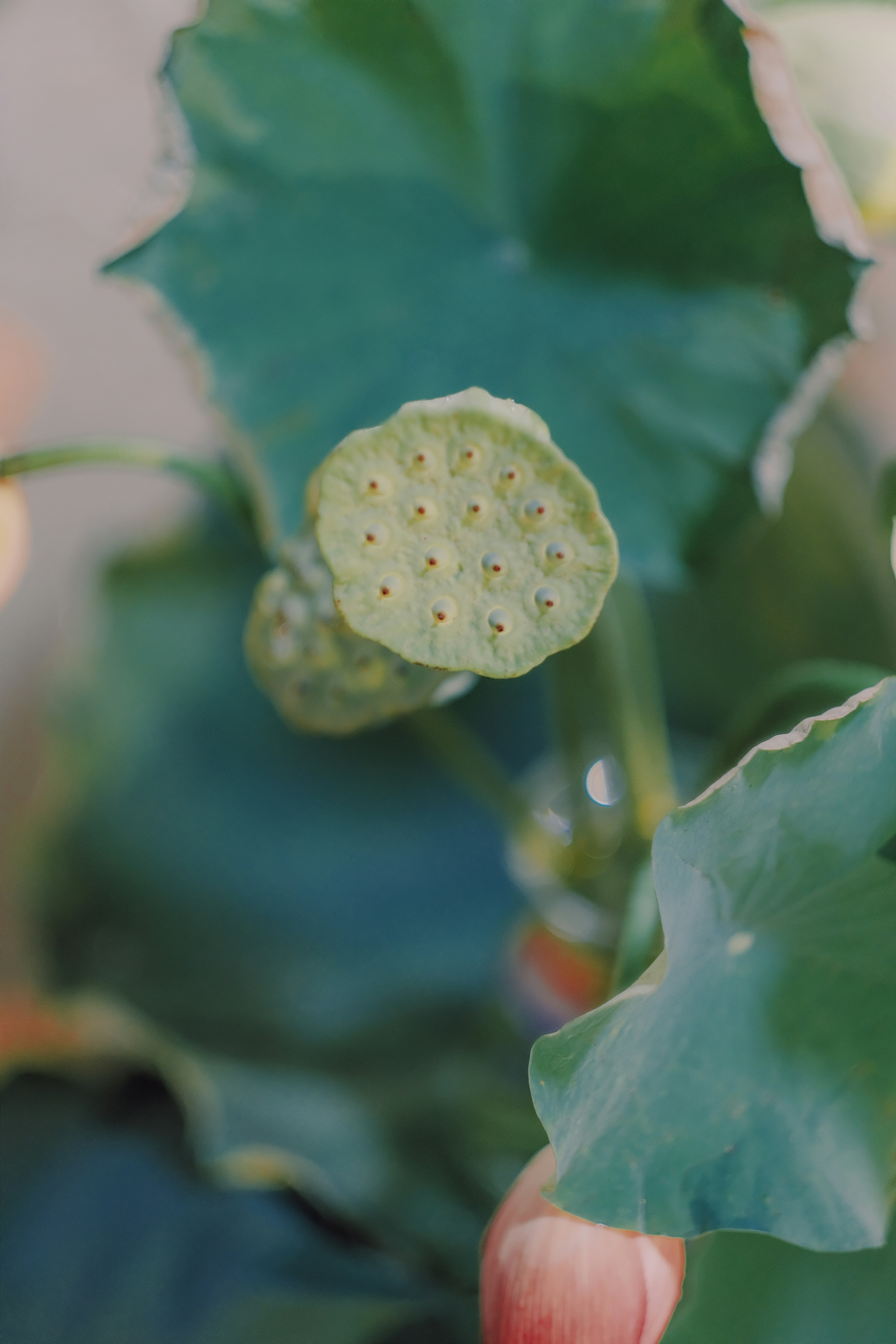 Photo by maycloudbackup