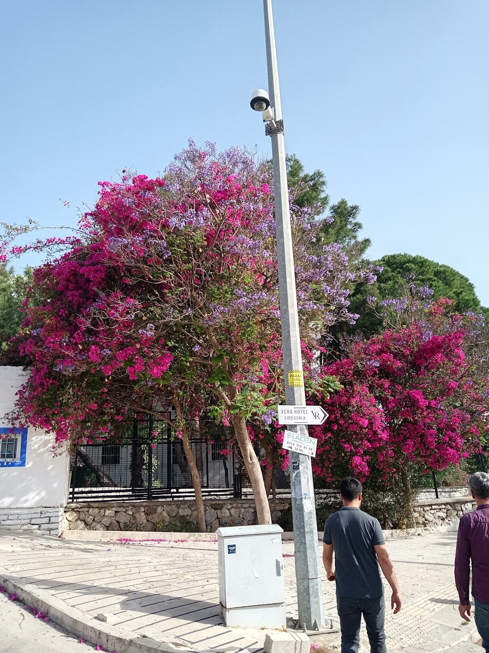 a couple of men walking down a sidewalk next to a tree