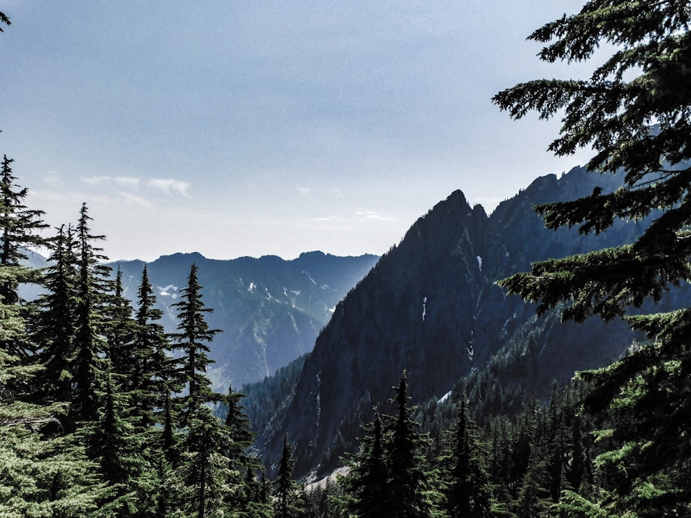 a view of a mountain range with trees and mountains in the background