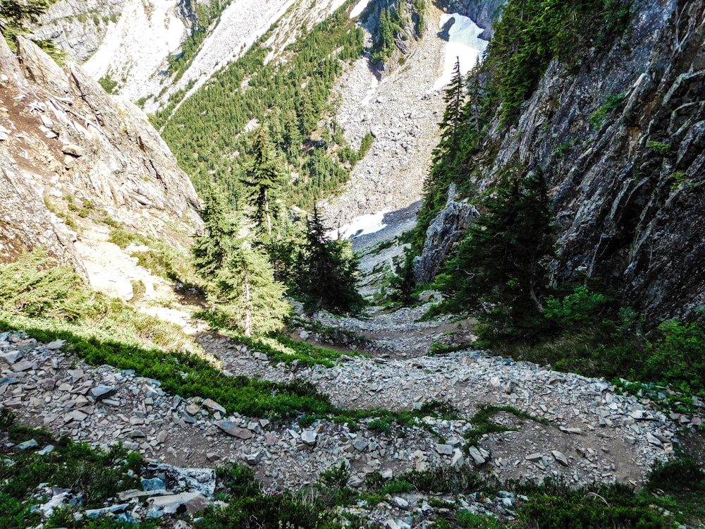 a rocky path in the middle of a mountain