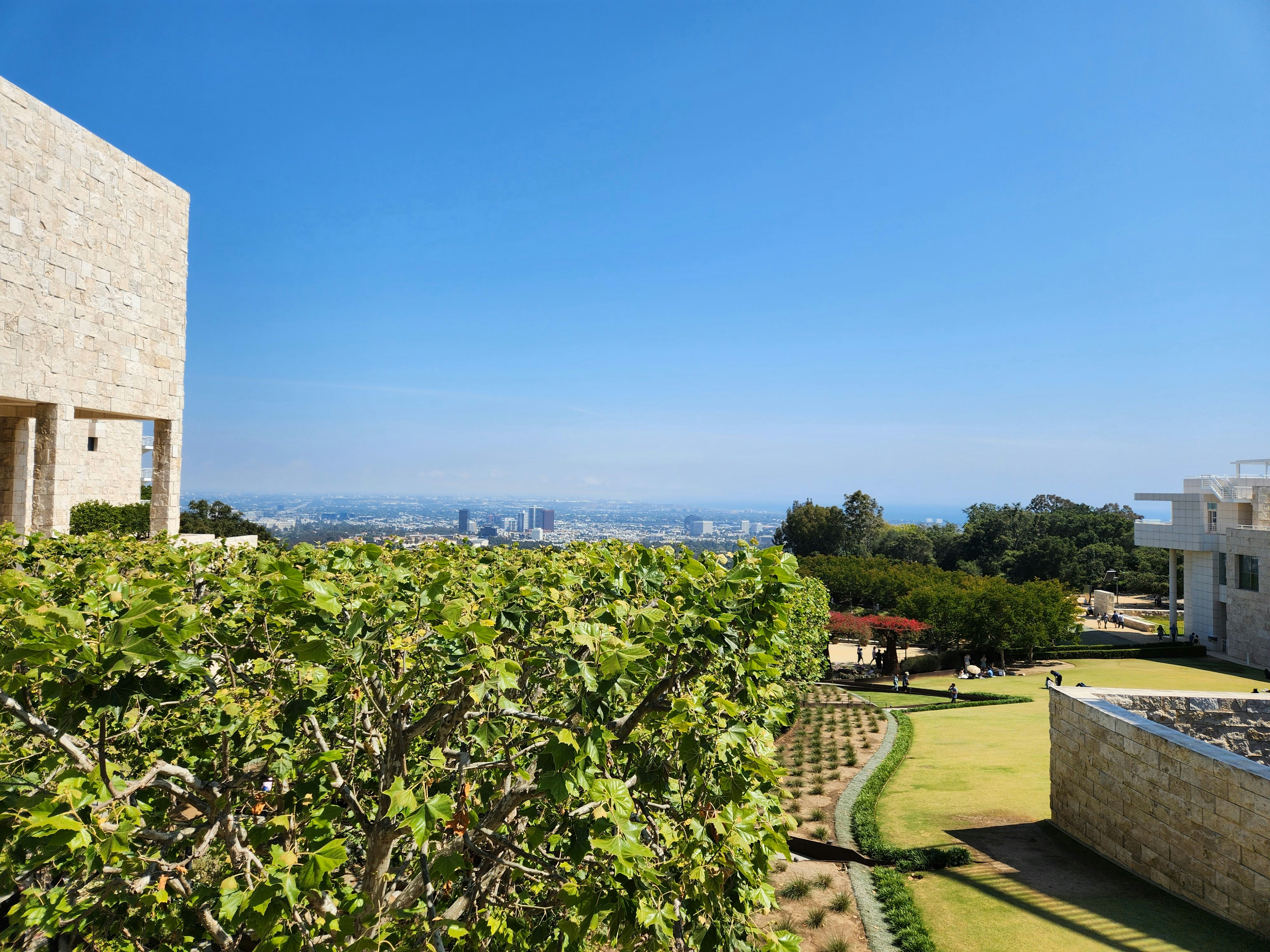 a view of the city from the top of a hill