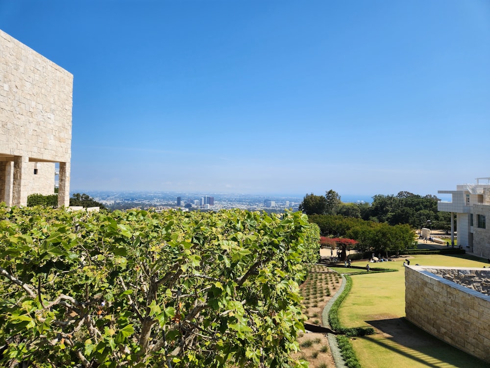 a view of the city from the top of a hill