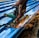 A person is using an angle grinder to cut metal roofing sheets. The device emits bright, orange sparks that contrast with the blue of the sheets. The person is wearing a protective glove on one hand and has a protective covering on one of their legs.