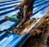 A person is using an angle grinder to cut metal roofing sheets. The device emits bright, orange sparks that contrast with the blue of the sheets. The person is wearing a protective glove on one hand and has a protective covering on one of their legs.