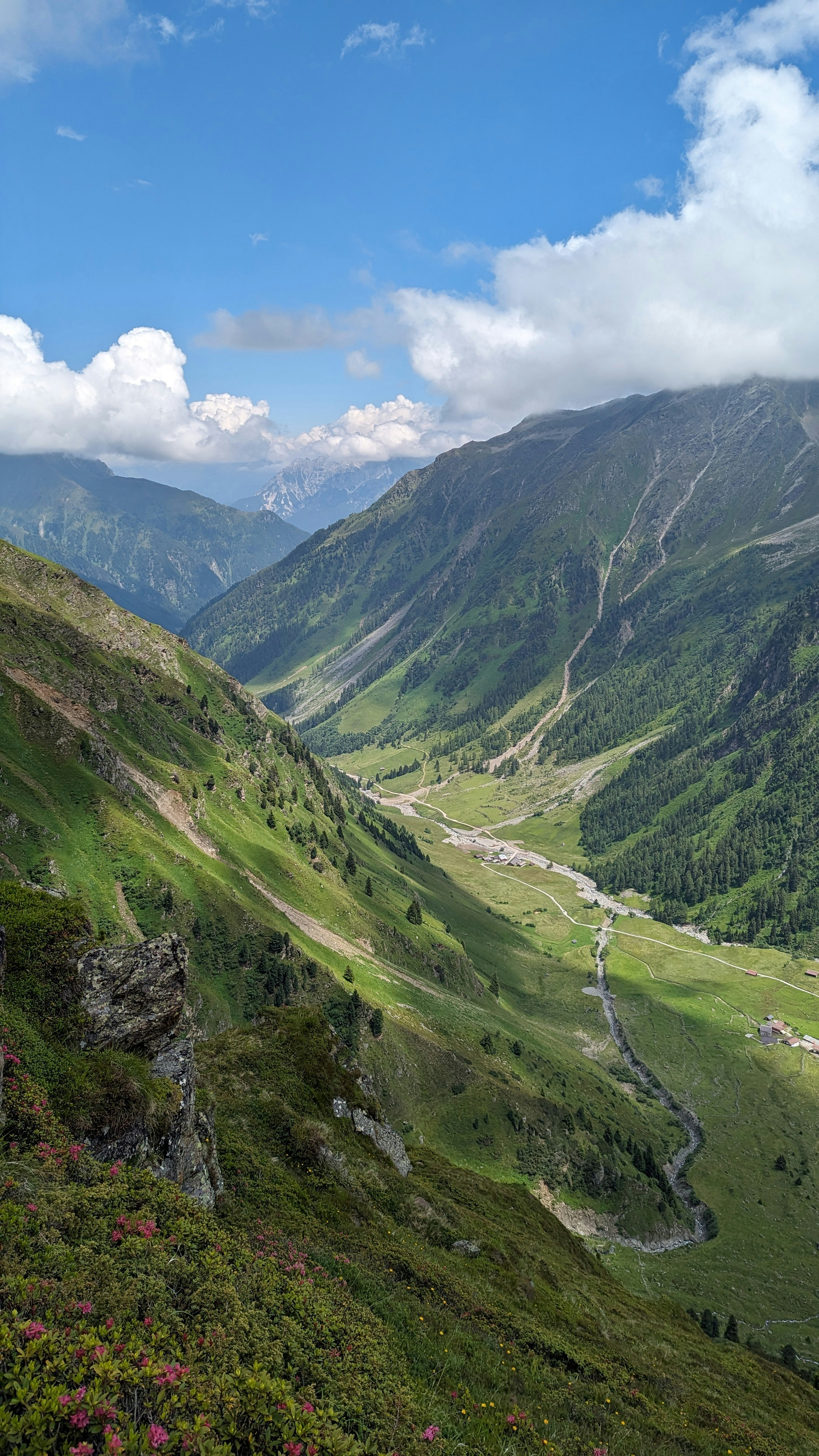 A view of a valley with mountains in the background