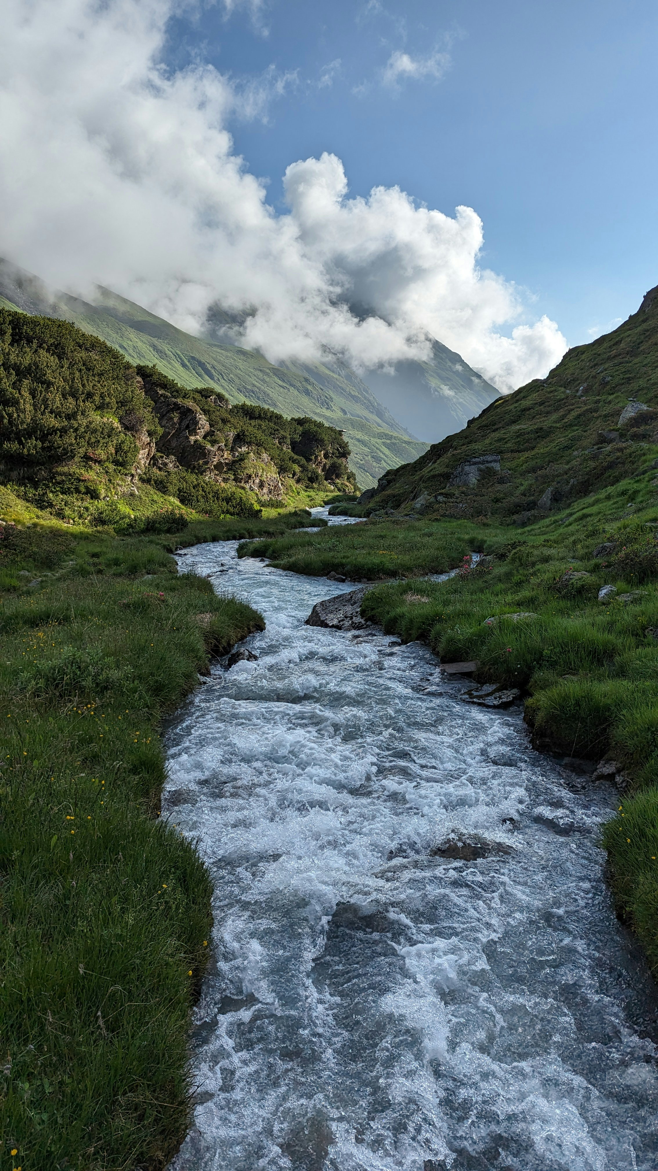 A stream running through a lush green valley