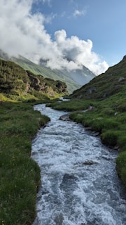 A clear stream flowing gently through the natural valley with wild greenery around.