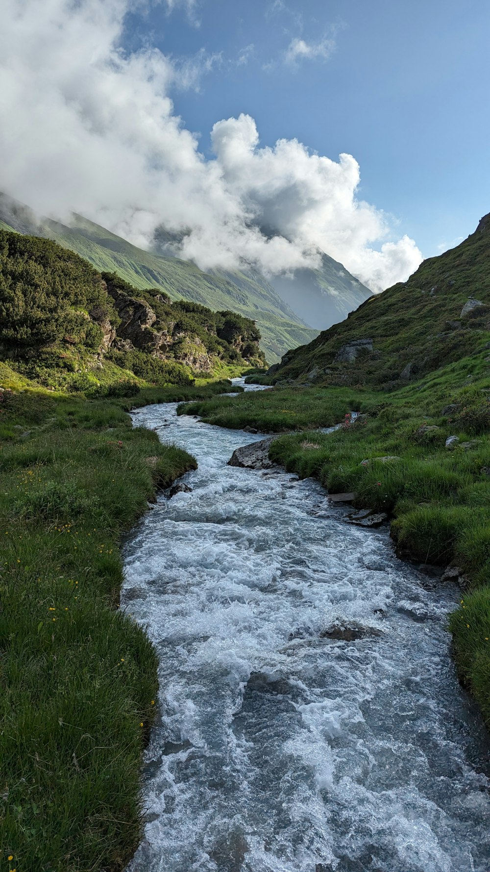 a stream running through a lush green valley