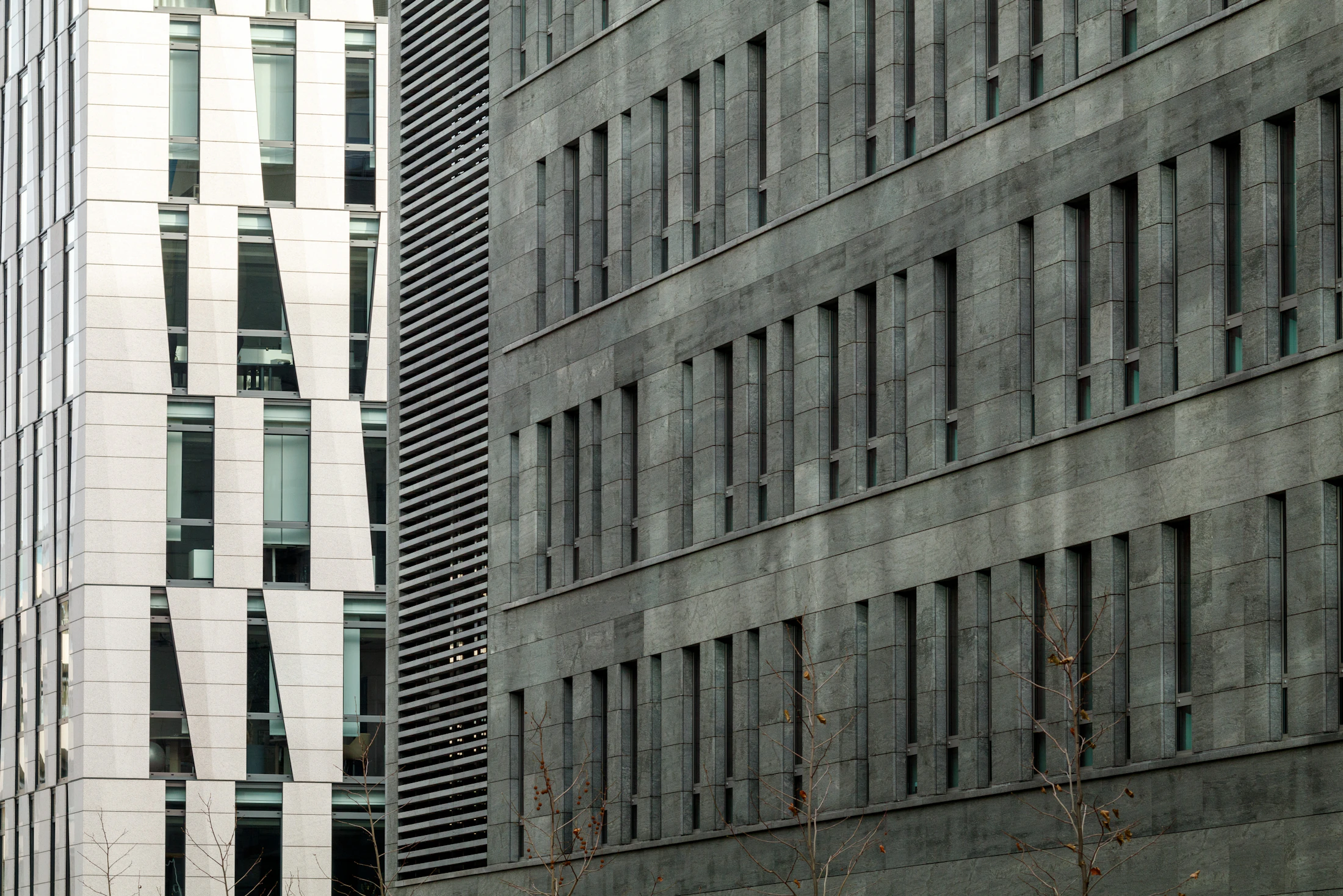 A contemporary glass office tower against the sky