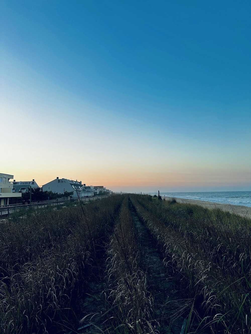 a view of a beach from a distance