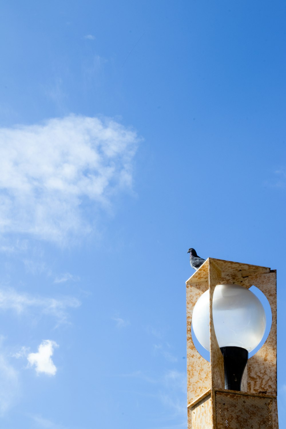 a bird sitting on top of a light pole