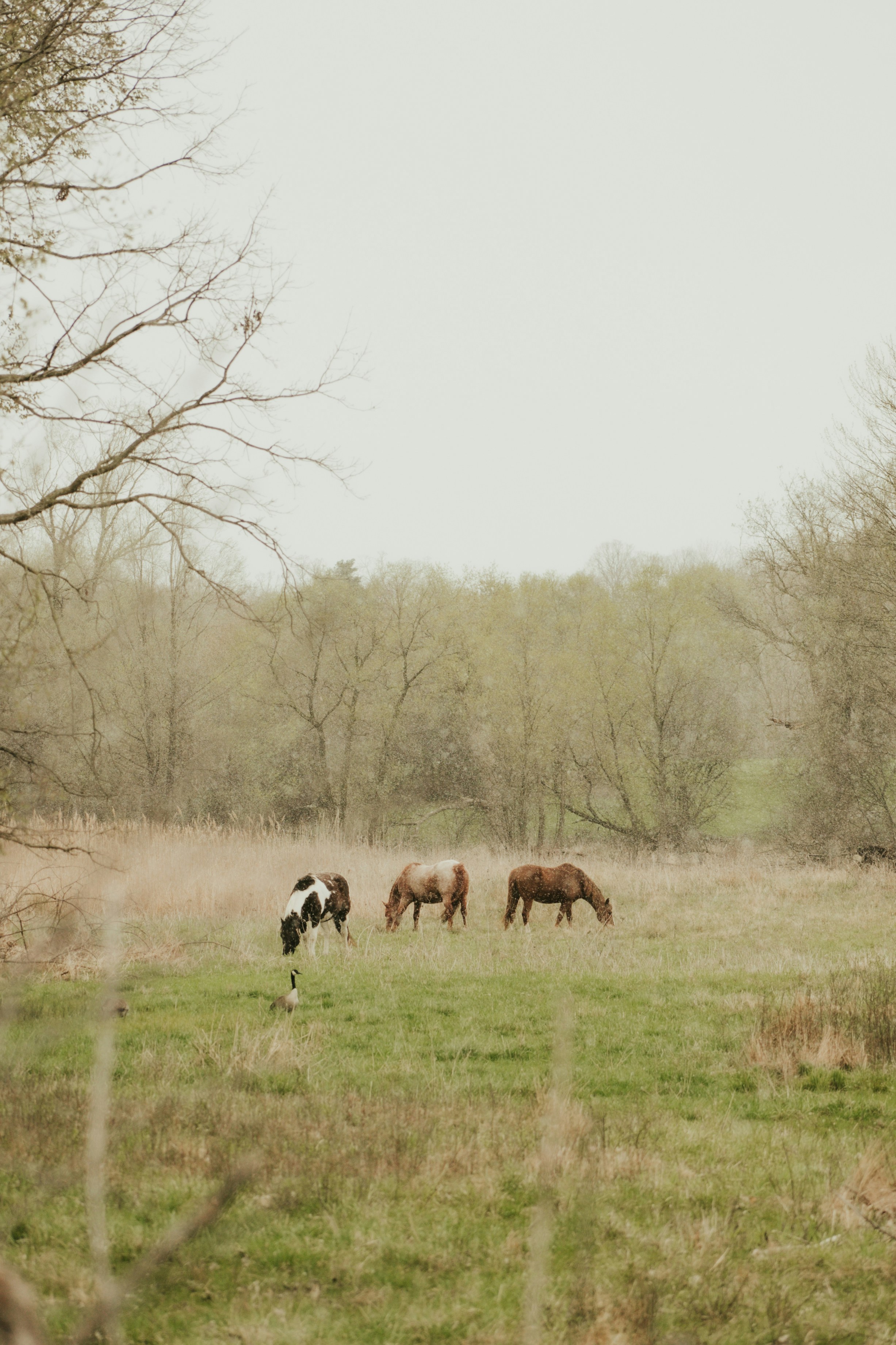 Photo by mariahhewines