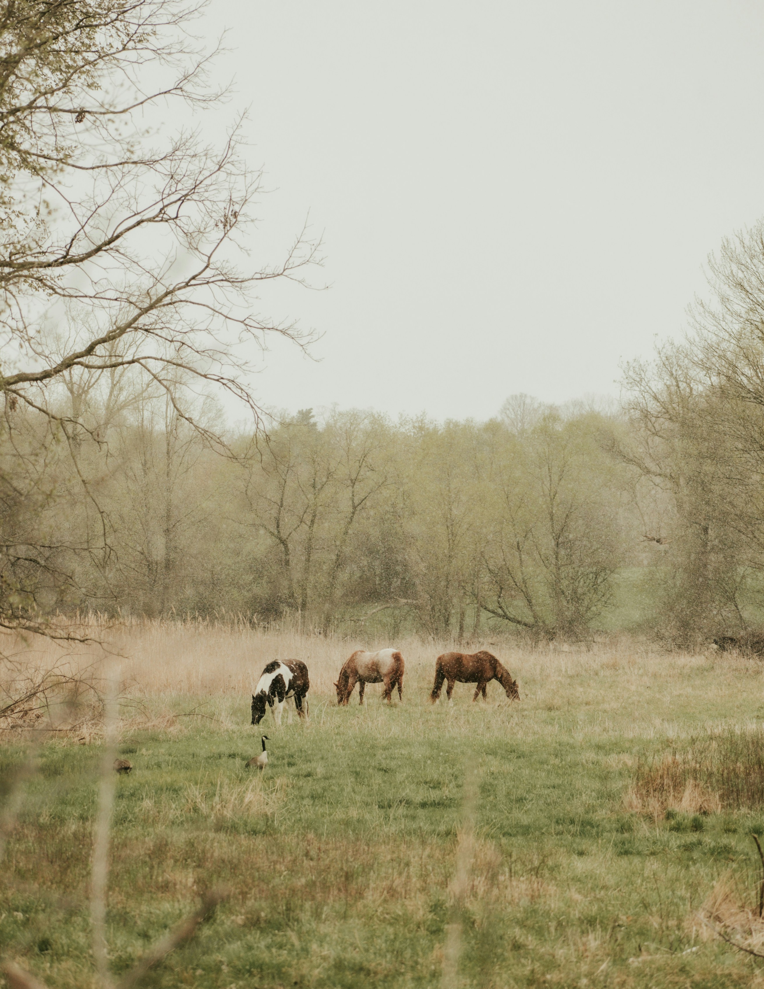 Photo by mariahhewines