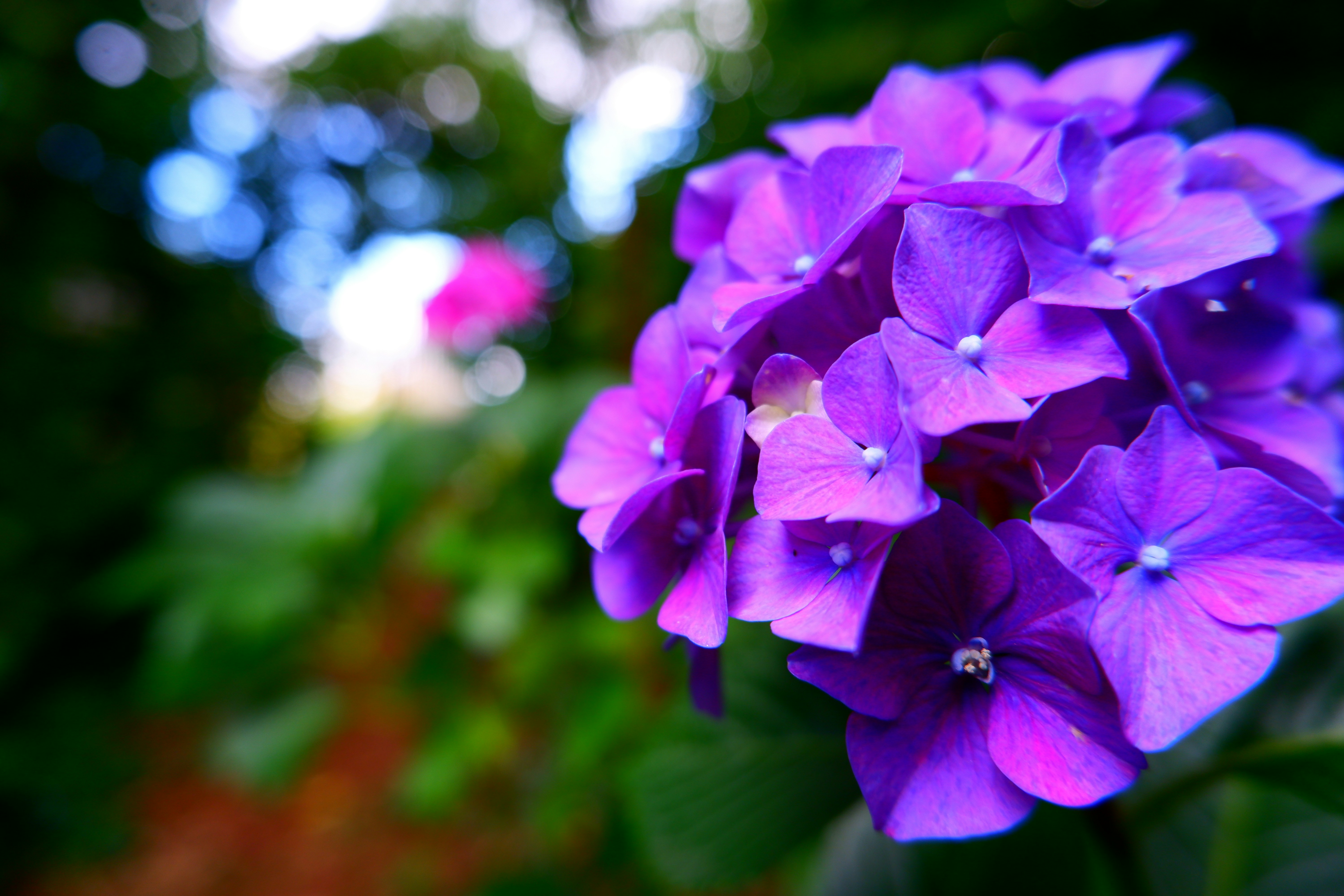 Photo by joriet