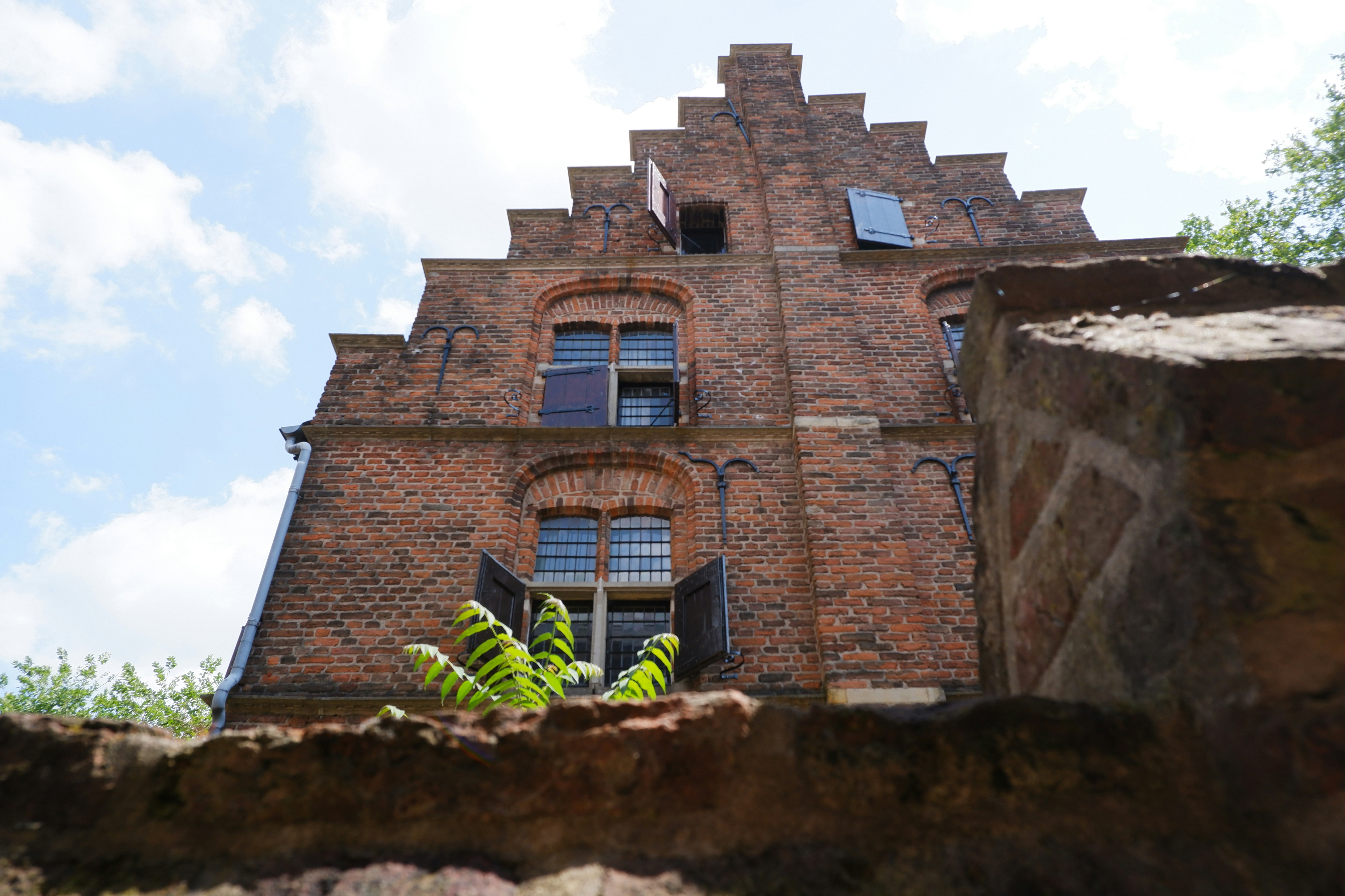 a tall brick building with a green plant in front of it