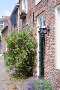 A charming street featuring a brick building with white-trimmed windows and a dark green door. Above the door, there's a sign indicating an antiquarian bookstore. A bush with white flowers grows beside the door, and purple flowers are visible closer to the ground. A window box with pink and red flowers is displayed on the upper level of the building.