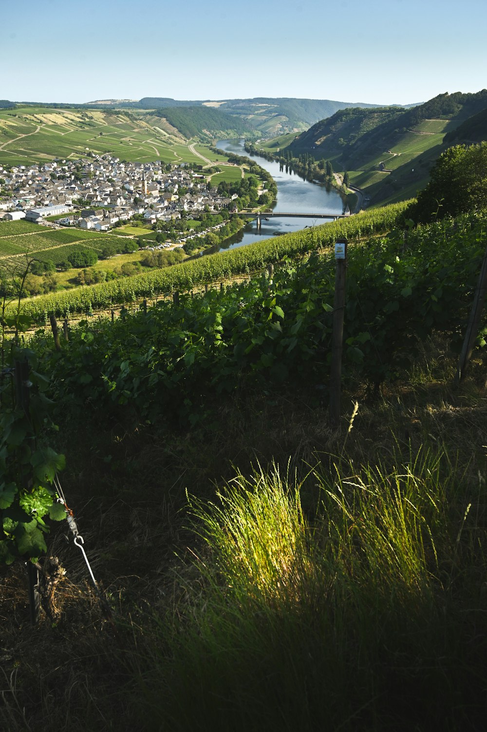 a view of a town and a river from a hill