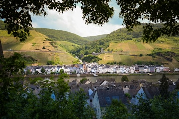A picturesque village nestled by a river, with rows of traditional European houses lining the water's edge. The background features lush green vineyards covering rolling hills, under a partly cloudy sky. Trees frame the image, adding a natural border to the scene.